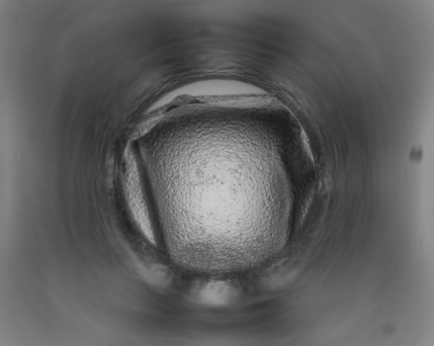 X0000092210647200709281024