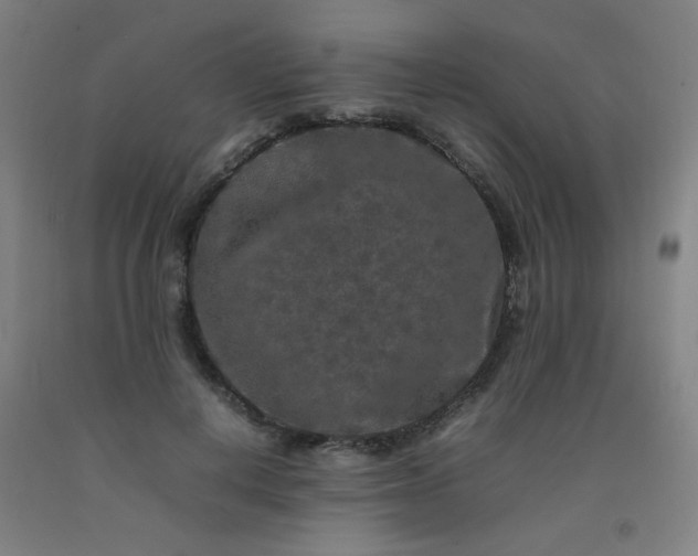 X0000092210648200709281024