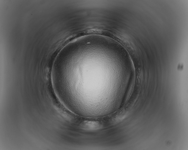 X0000092210649200709281024