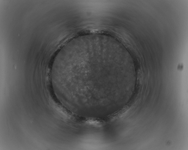 X0000092210650200709281024