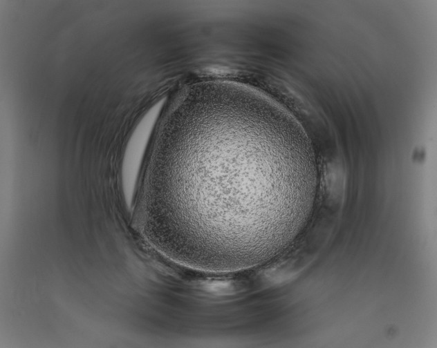 X0000092210651200709281024