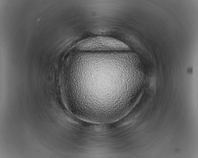 X0000092210652200709281024