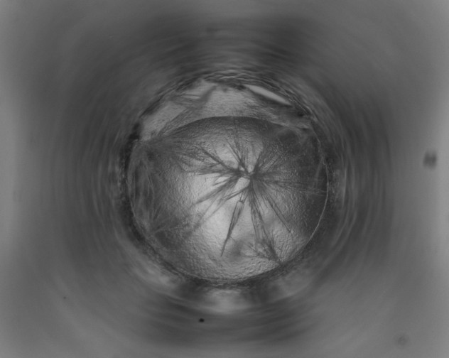 X0000092210653200709281024