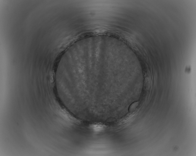 X0000092210654200709281024