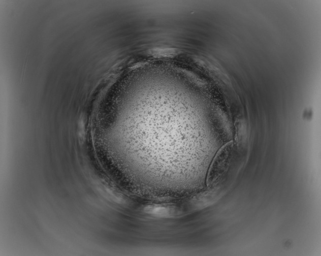 X0000092210655200709281024