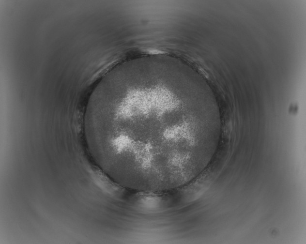 X0000092210658200709281024