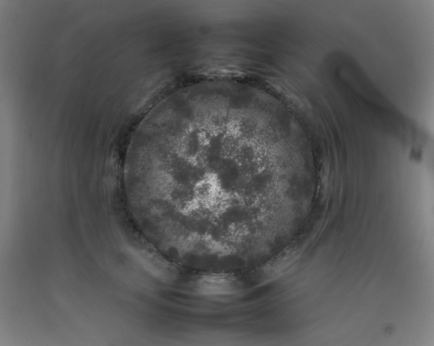 X0000092210659200709281024