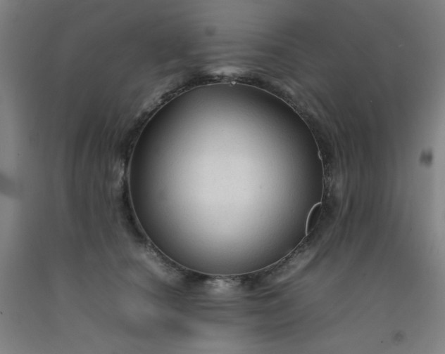 X0000092210660200709281024