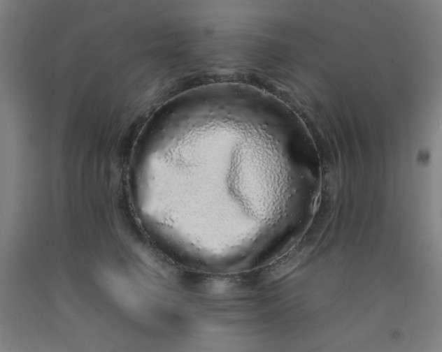 X0000092210662200709281024