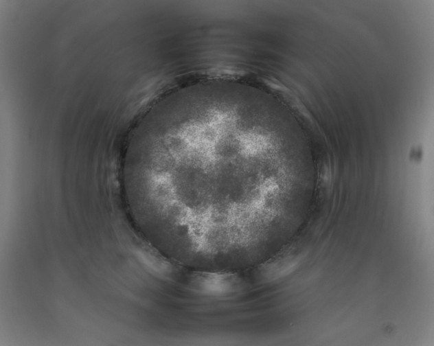 X0000092210663200709281024