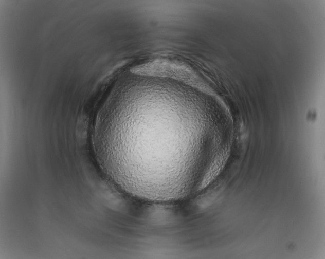 X0000092210664200709281024