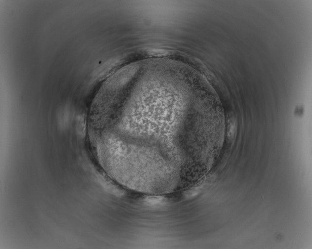 X0000092210666200709281024