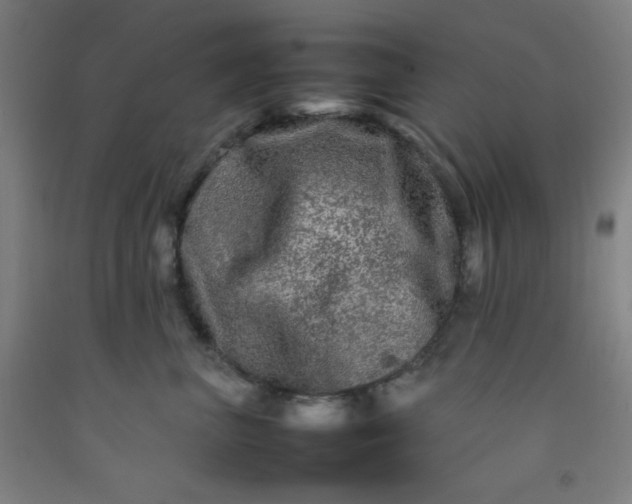 X0000092210667200709281024