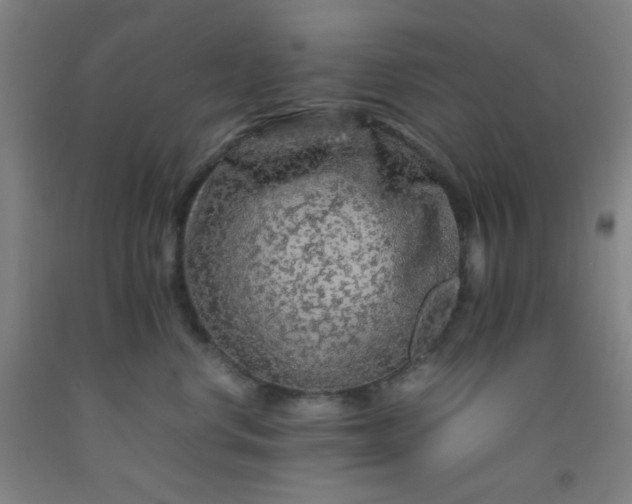 X0000092210668200709281024