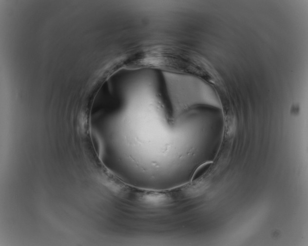 X0000092210669200709281024