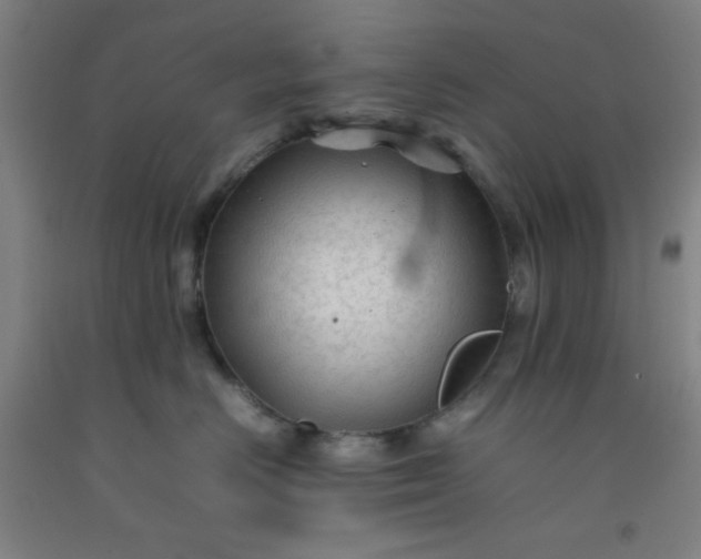 X0000092210670200709281024