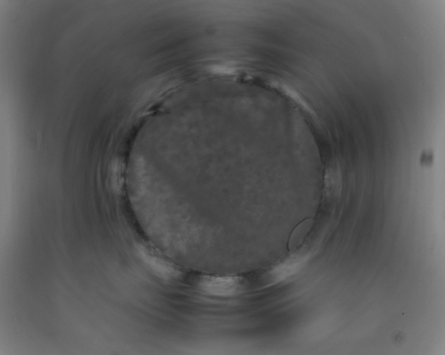 X0000092210671200709281024