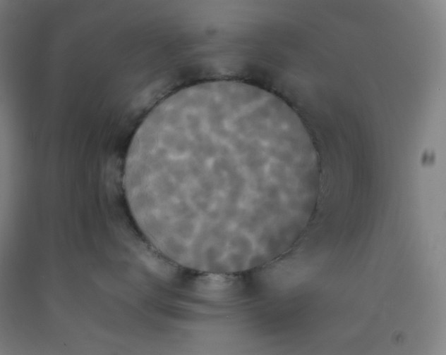 X0000092210672200709281024