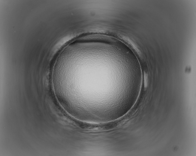 X0000092210675200709281023