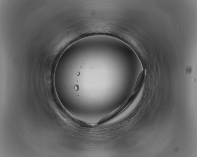 X0000092210677200709281023