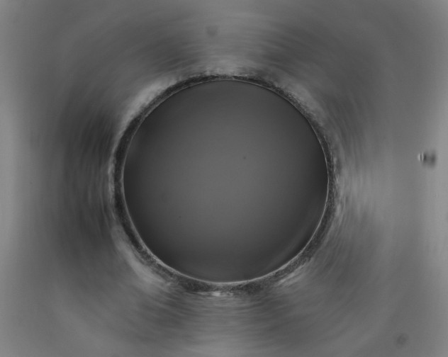 X0000092210678200709281023