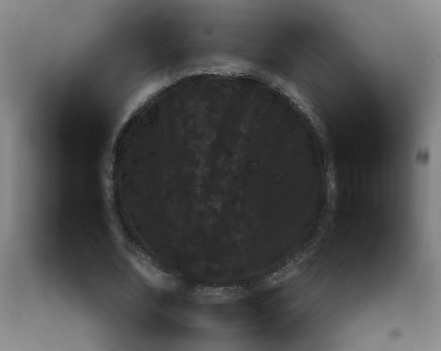 X0000092210679200709281023