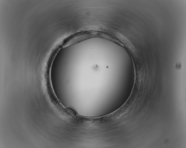 X0000092210680200709281023