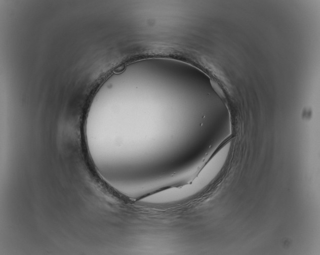 X0000092210681200709281023