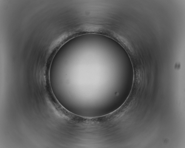 X0000092210682200709281023