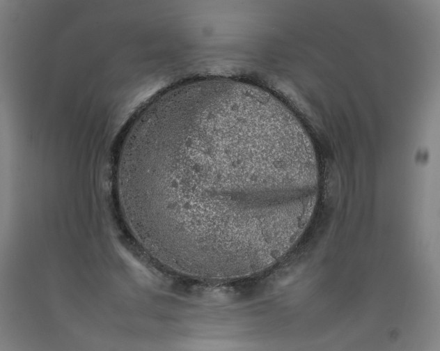 X0000092210683200709281023