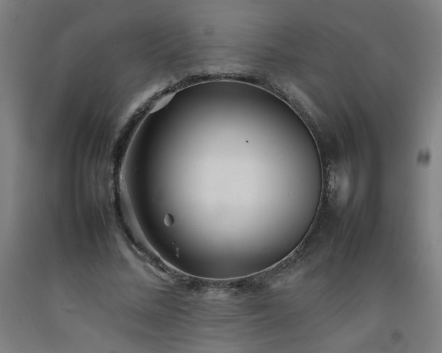 X0000092210684200709281023