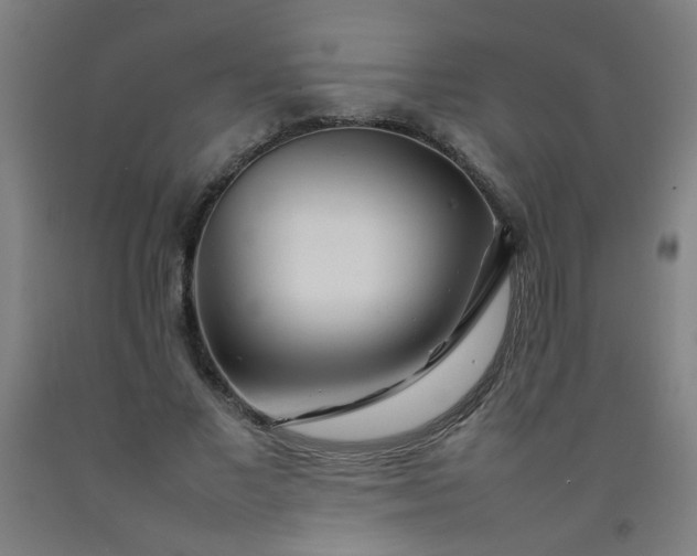 X0000092210685200709281023