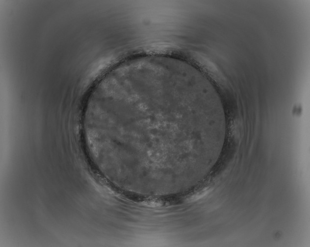 X0000092210687200709281023