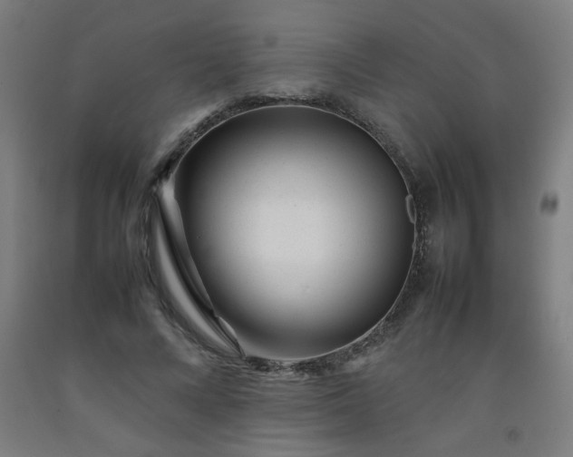 X0000092210688200709281023