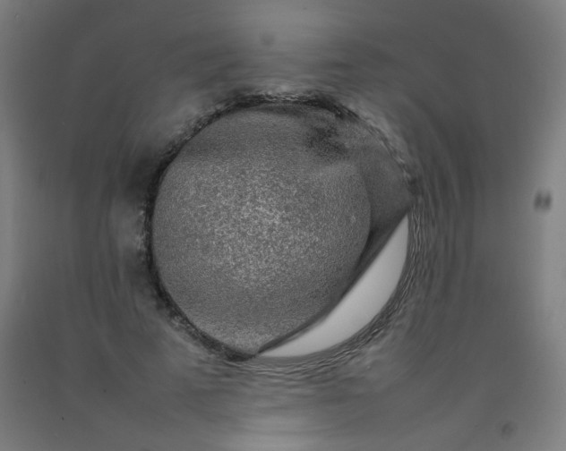 X0000092210689200709281023