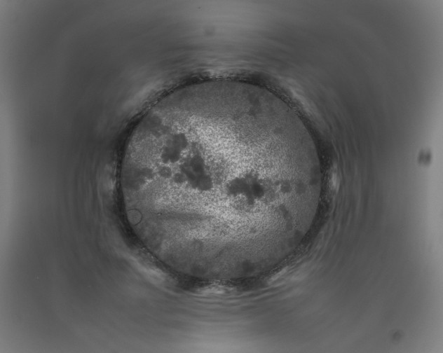 X0000092210691200709281023