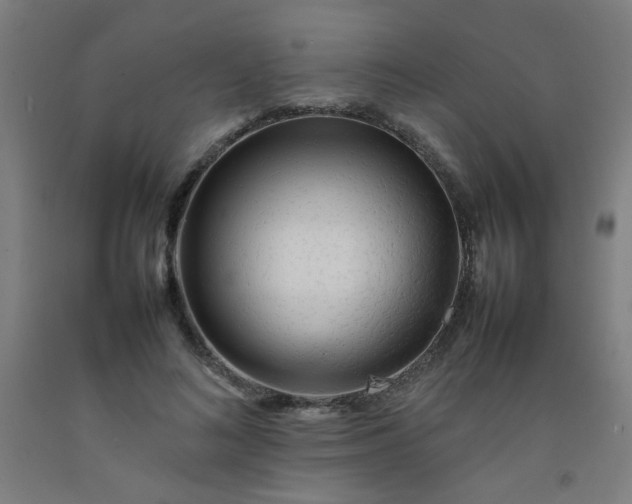 X0000092210692200709281023