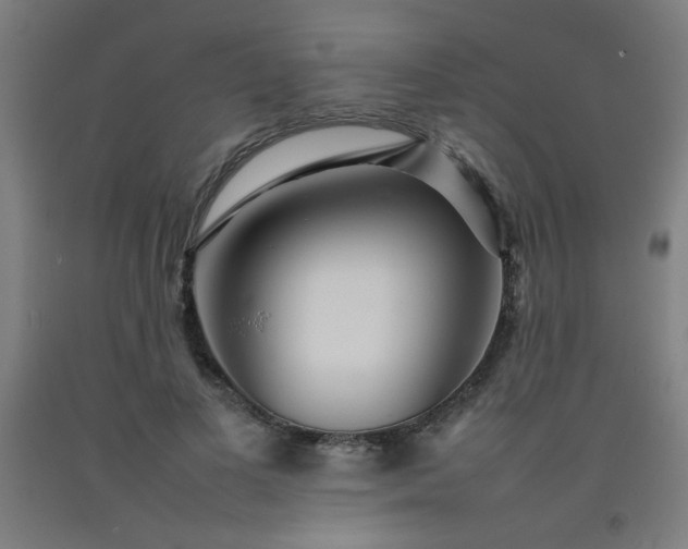 X0000092210693200709281023