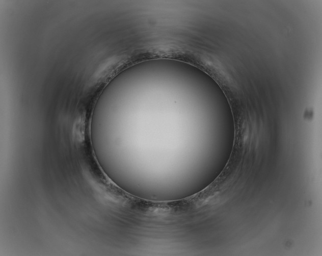 X0000092210694200709281023