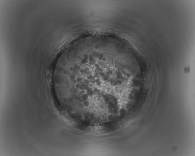 X0000092210695200709281023