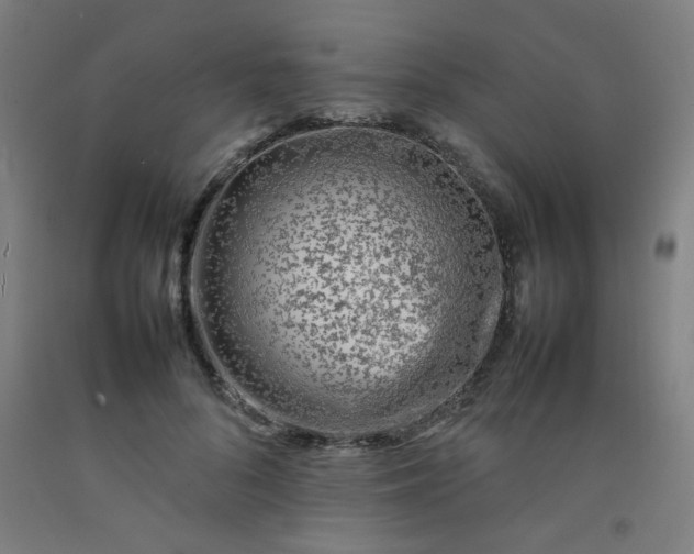 X0000092210696200709281023