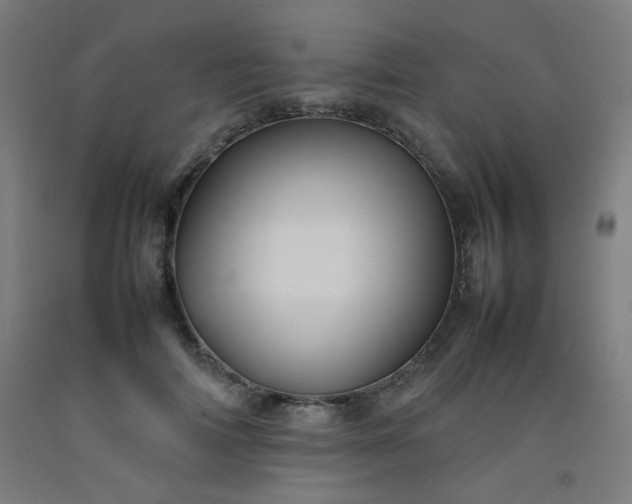 X0000092210698200709281023