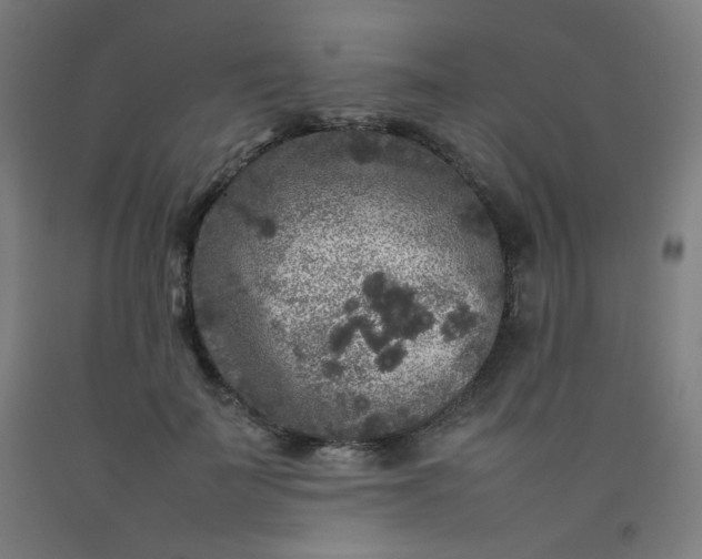 X0000092210699200709281023