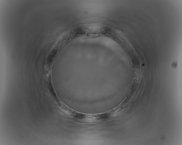 X0000092210701200709281023