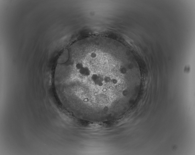 X0000092210703200709281023