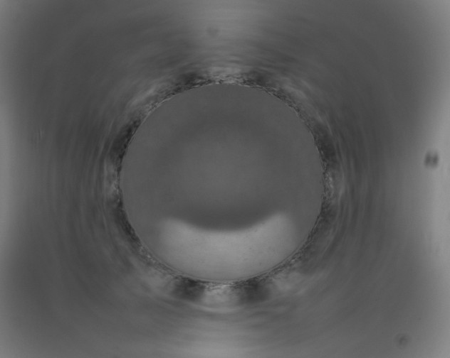 X0000092210705200709281023