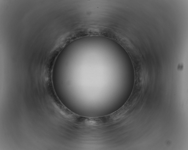 X0000092210706200709281023