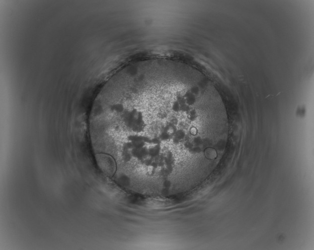 X0000092210707200709281023