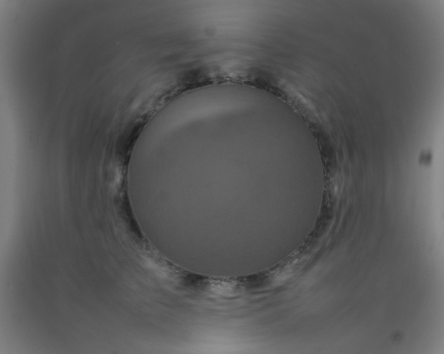 X0000092210709200709281023