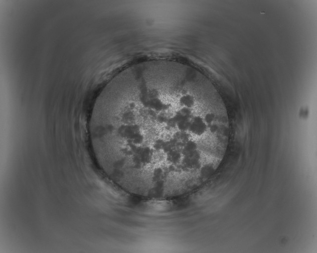 X0000092210711200709281023